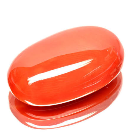 Red Coral (Moonga)